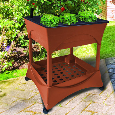 Nerine Raised Garden Bed