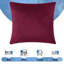 Plain Velvet Cushion Cover-(Pack of 4)-1643677856