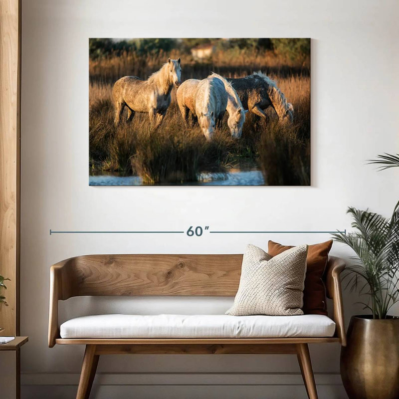 Ronce les chevaux blancs de Camargue VII, H 30 po x l 45 po