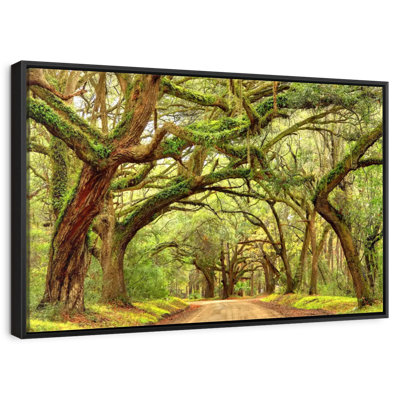 Charleston Oak Forest