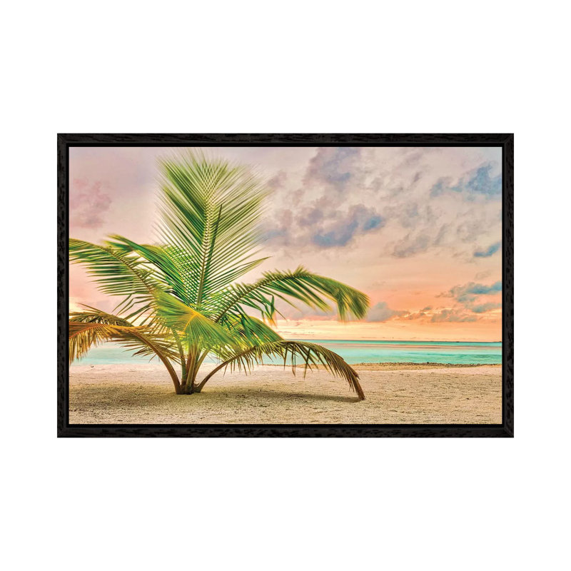 Sunset Palm by Mark Paulda - Print on Canvas, 45.72cm H x 66.04cm W x 3.81cm D, Black Floater Framed