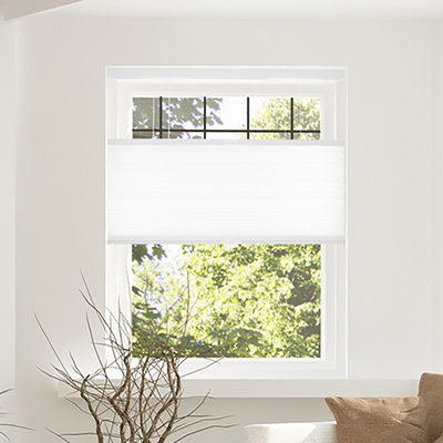 Cordless Blackout Cellular Shade