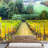 Border-93997339
