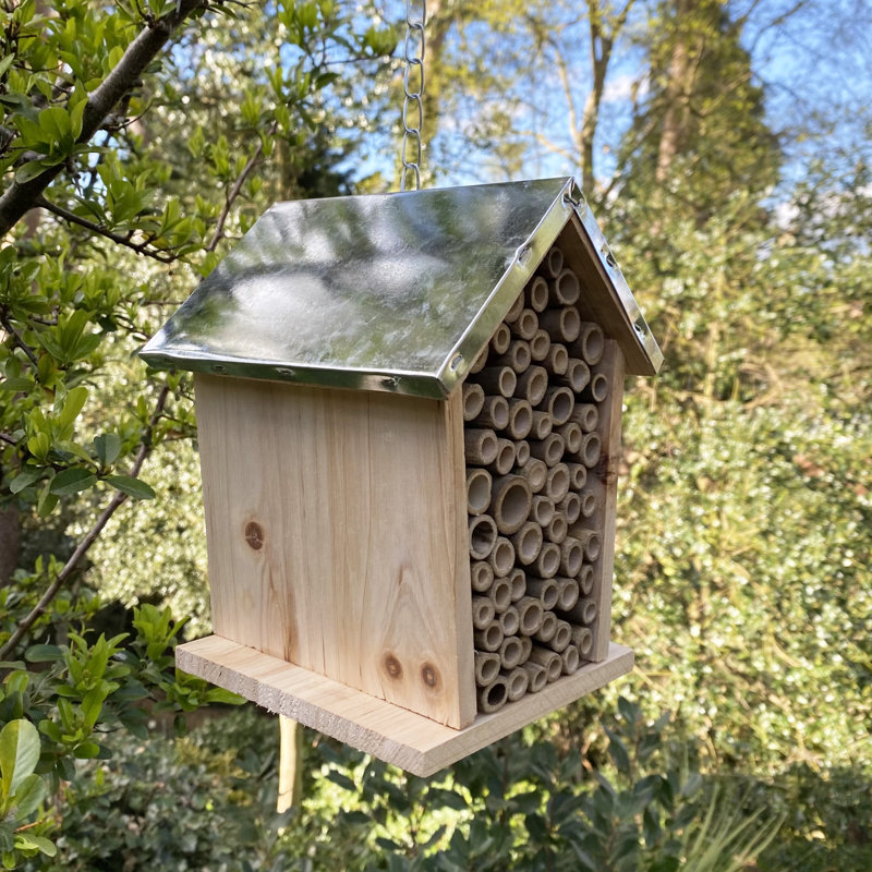 Izaguirre Hanging Bumblebee House
