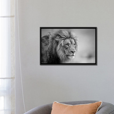 «His Majesty ....», reproduction de photo sur toile