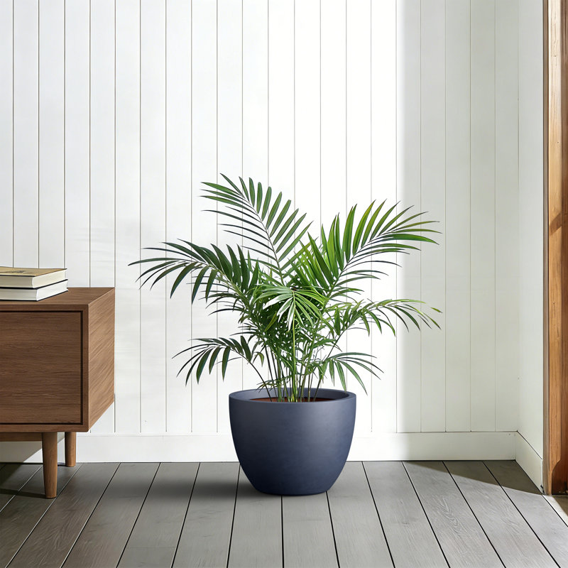 14 in. Medium Navy Blue Concrete Round Planter/ Pot (Upgraded Interior) with Drainage Holes, Navy Blue