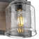 Dimmable Vanity Light with Seeded Glass