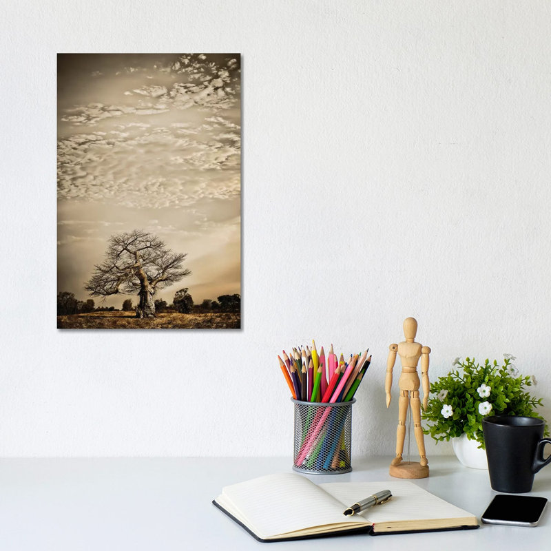 Baobab Hierarchy I by Klaus Tiedge - Print on Canvas, Wrapped Canvas, 20.32 cm H x 30.48 cm W