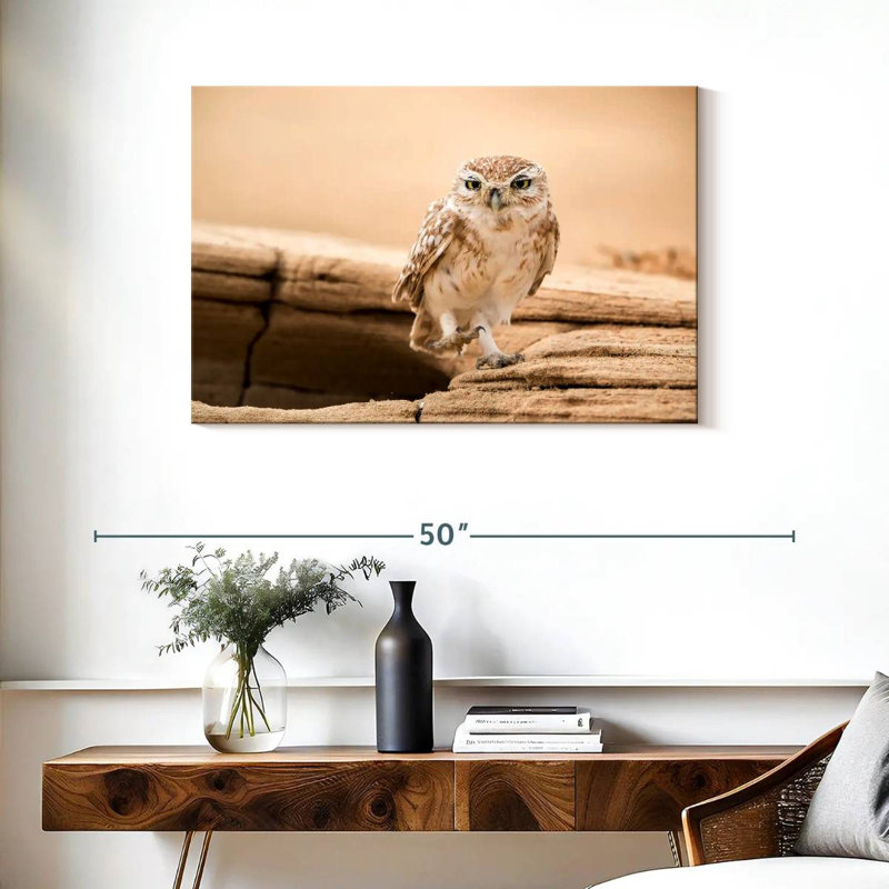 Brampt Desert Owl, 24" H x 36" W