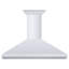 48" Professional 500 CFM Convertible Wall Mount Range Hood in Stainless Steel