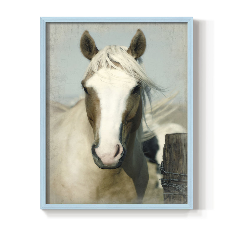Impression encadrée de cheval - Bois massif, H 11 po x l 9 po, Bleu