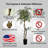 Handmade Artificial  Olive Tree with Real Wood