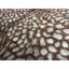 Himalayan One-of-a-Kind 5'9" X 8'6" Area Rug
