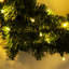 Faux PVC,PE 55cm Wreath