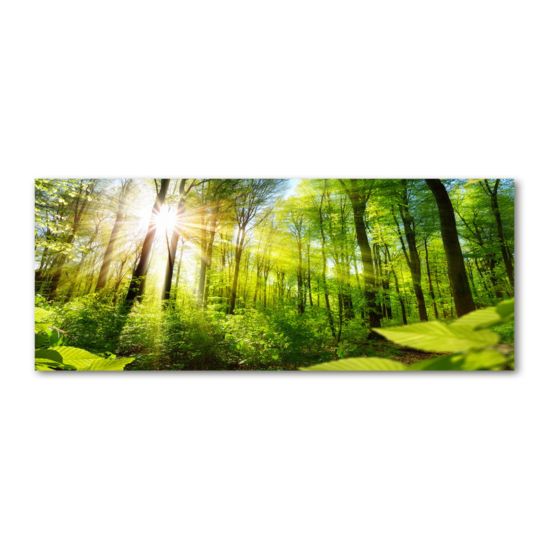 Forest In The Sun - No Frame Print on Canvas