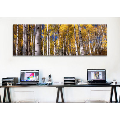 " Forest, Grand Teton National Park, Teton County, Wyoming, USA " by Panoramic Images