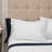Mosley Cotton Blend Percale Sheet Set - Queen-114829862