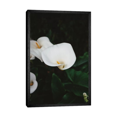 Carmel Blooms II by Bethany Young - Print on Canvas