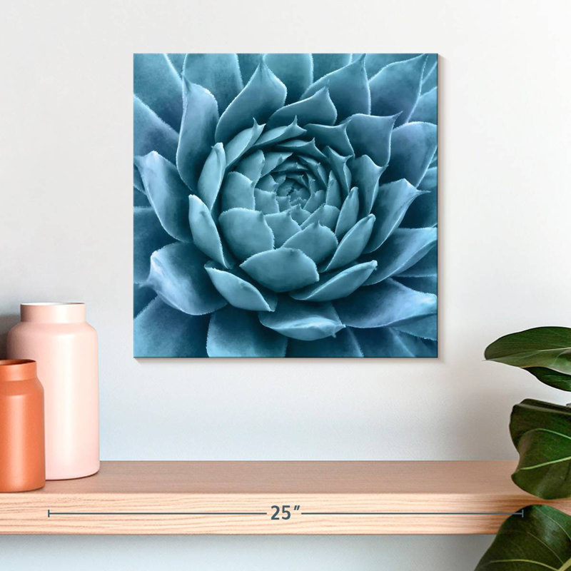 Harnek Silvery Blue Agave