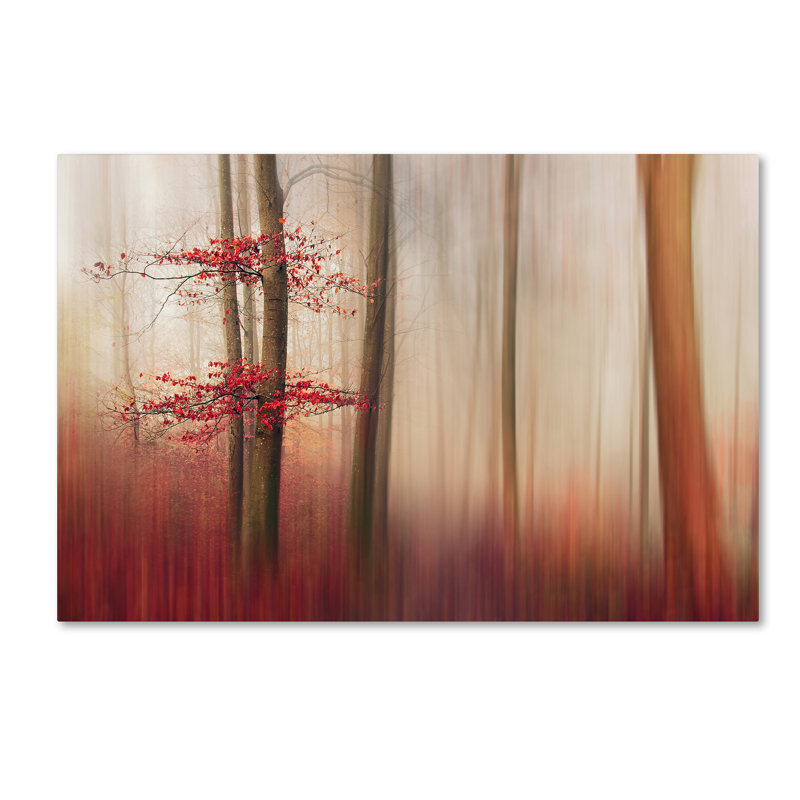 « red leaves », reproduction de photo sur toile tendue, H 12 po x l 19 po