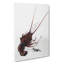 Crayfish by Watanabe Seitei - Wrapped Canvas-55313026