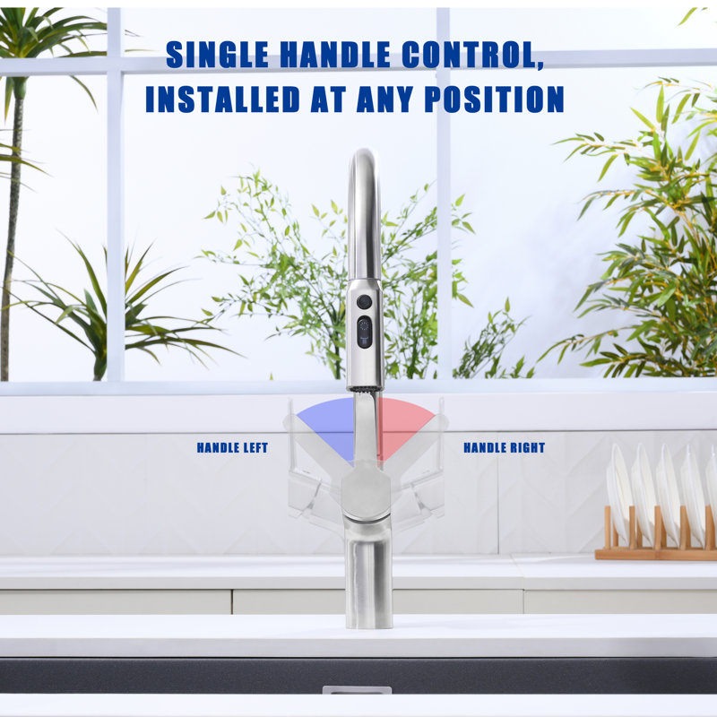 Single Handle Kitchen Faucet with Pull-Down Sprayer