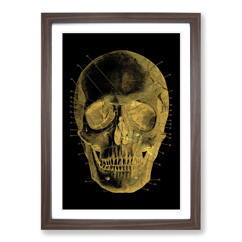 Black Twilight Skull in Gold - Picture Frame Graphic Art, Walnut, 36cm H x 27cm W x 2cm D
