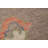 Vegetable Dye Oushak Turkish Runner Rug