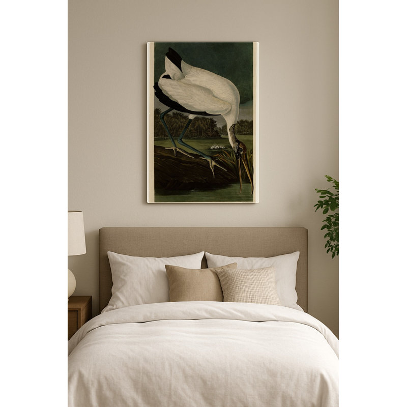 Ibis des bois (Plaque CCXVI) — Portrait en métal, 14" H x 11" W