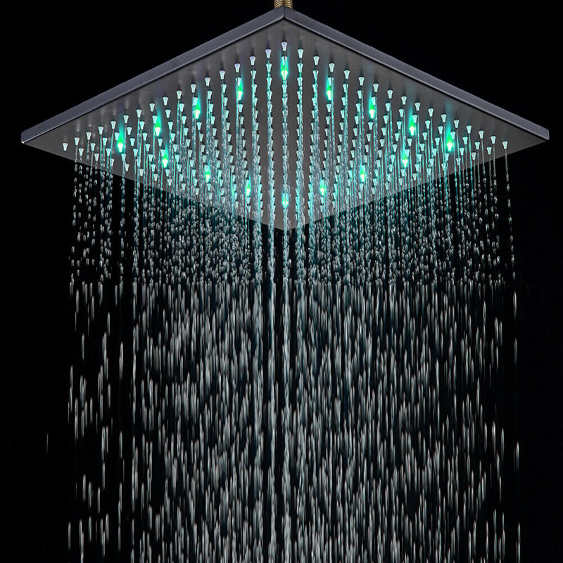 Wellman Rain Adjustable Shower Head, Black