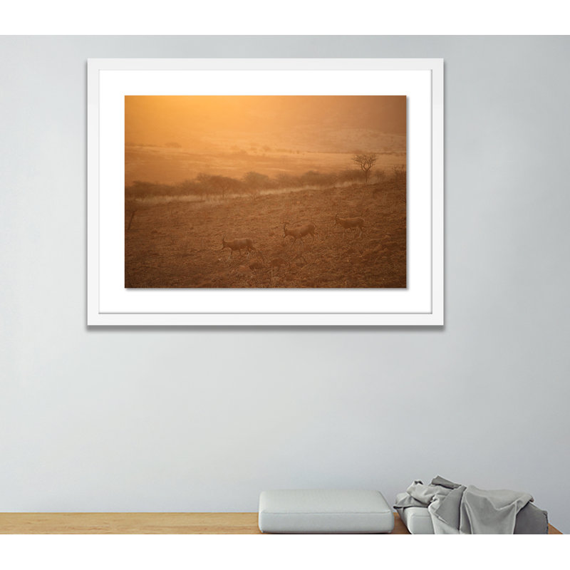 Into The Wild 1 by Jade Hammer, White, 18" H x 24" W x 1.5" D