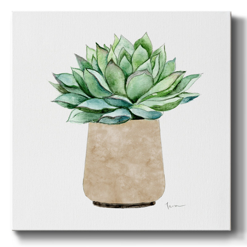 Cactus neutre III, impression sur toile, H 24 po x l 24 po