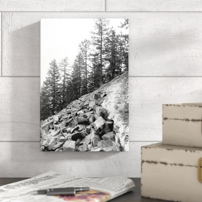 " Rocky Tree Line Black White "