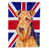 Airedale (roux)