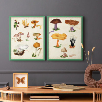 Champignon VI - reproduction encadrée de qualité supérieure - prêt à être accroché - aucun clou requis - aucun clou requis