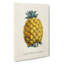 Illustration of a Pineapple - Wrapped Canvas-55304352