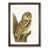 Walnut Framed selected