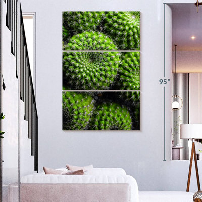 Harnek Spiny Barrel Cactus