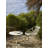 Bini Round Outdoor Coffee Table , 27.56'' in. W 27.56'' in. D-98199868