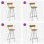 Juli Counter Stool with Metal Frame