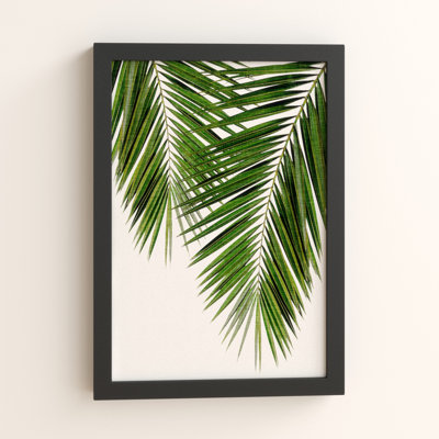 Palm Leaf II - Print