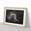 British Shorthair Cat In The Shadows Paint Splash - Picture Frame Graphic Art-56867099-56867100