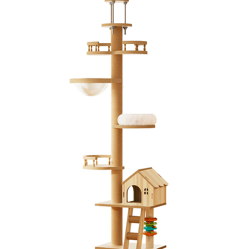 Arbre à chat Modern Modern