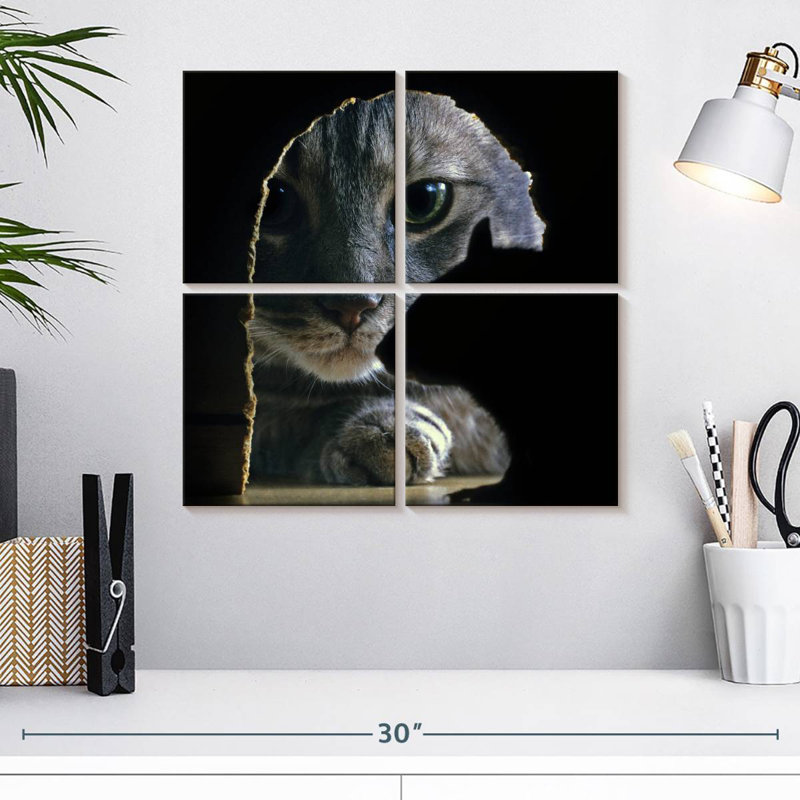 Souris de chasse Brampt