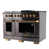 Stainless Steel/Gold selected