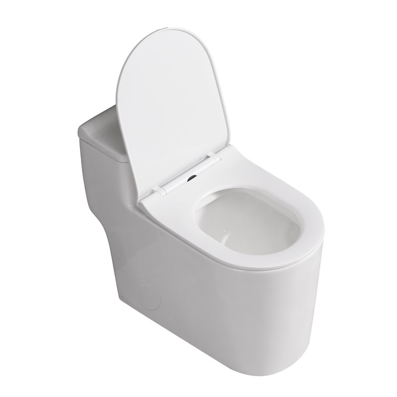 Toilette allongée une pièce Yingze 10 po - Hauteur confortable conforme à l'ADA, double chasse, économie d'eau, blanc
