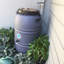 Baril d'eau de pluie 60 gallons