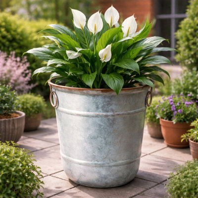 Handmade Pot Planter