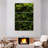 " Thick Moss " 3 - Pieces-92833537