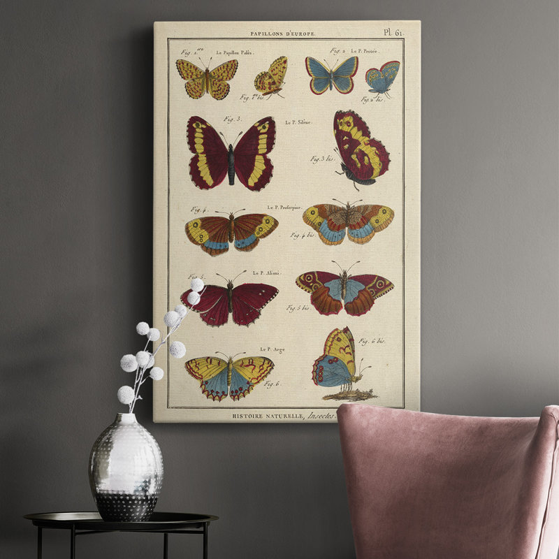 «Histoire Naturelle Butterflies III», impression sur toile tendue, H 18 po x l 12 po x P 1,5 po